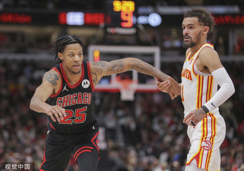 森林狼成功 森林狼成功